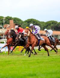 Giovedì a San Rossore tra ostacoli e piano, le femmine in handicap Giovedì a San Rossore tra ostacoli e piano, le femmine in handicap