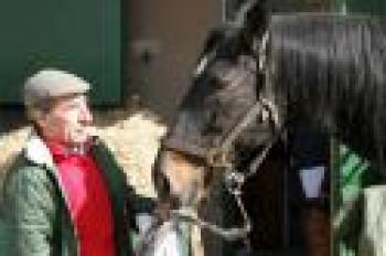 Auguri a Maslogarth, cavallo-mascotte di San Siro