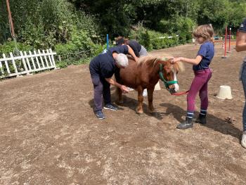 <strong>Overponymotricit&agrave;:</strong>  progetto intergenerazionale conclude percorso al Centro Equestre Federale