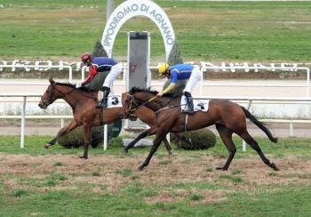 Agnano Galoppo dal 18 maggio al 25 luglio  per tredici giornate spettacolo in pista dritta.