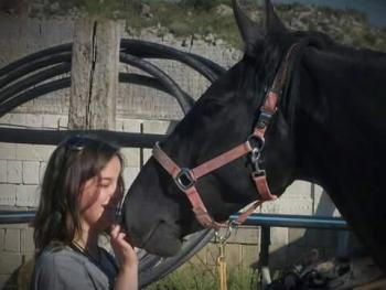 Girasole, dal buio in cammino verso la speranza! Girasole, dal buio in cammino verso la speranza!