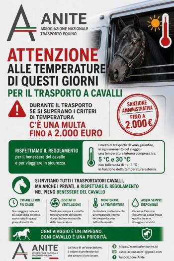 Attenzione alle temperature  : benessere cavallo &egrave; prioritario