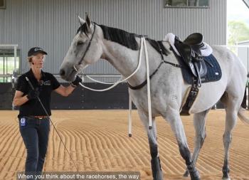 Intervista a Kate Fenner su riaddestramento cavallo da corsa a fine carriera ( parte prima)