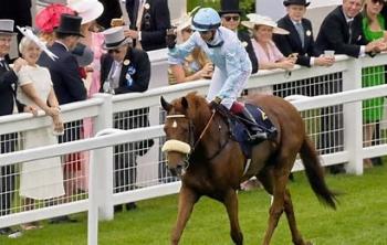 EROICO GIAVELLOTTO CONQUISTA ASCOT