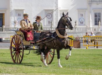Codroipo ( Udine)     Carrozze d’epoca a villa Manin
