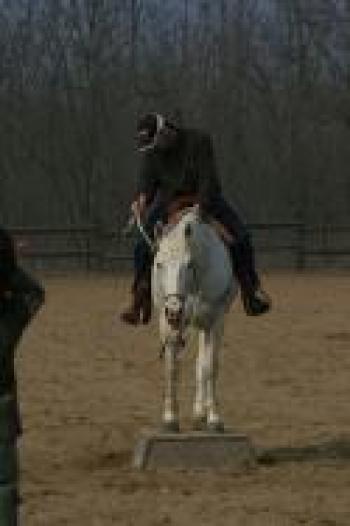L'approccio al cavallo dell'Horseman