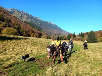 Fieracavalli promuove equivia del Monte Baldo