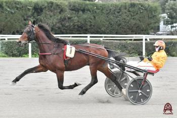 Always Ek domina il Gran Premio del Gargano, 1.10.6 Always Ek domina il Gran Premio del Gargano, 1.10.6