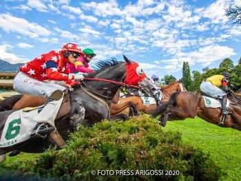 Sabato l'ippodromo di Maia vede al centro un magnifico steeple