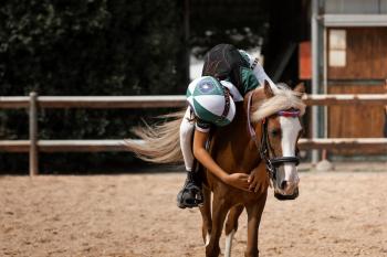 Ponyadi KEP Italia: 1.100 giovanissimi e oltre 1.000 pony ad Arezzo per il grande evento FISE Ponyadi KEP Italia: 1.100 giovanissimi e oltre 1.000 pony ad Arezzo per il grande evento FISE