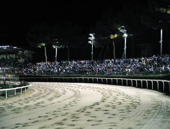 Mercoled&igrave; corse al galoppo in notturna al Martini di Corridonia
