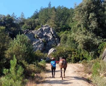 Endurance: nel Parco del Tepilora a Bitti si impongono Maria Salaris e Giuseppe Mallei Endurance: nel Parco del Tepilora a Bitti si impongono Maria Salaris e Giuseppe Mallei