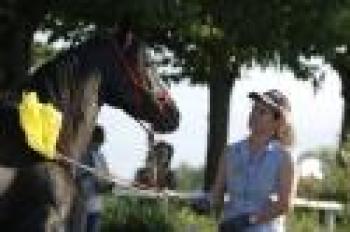 Un bel problema con i puledri: l'addestratore