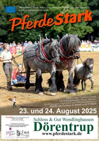 Germania: manifestazione del cavallo da tiro europeo