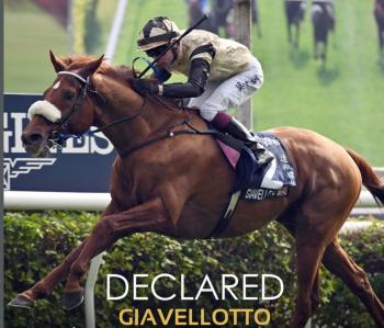 Abbiamo un sogno : Giavellotto a San Siro per il Jockey Club Abbiamo un sogno : Giavellotto a San Siro per il Jockey Club