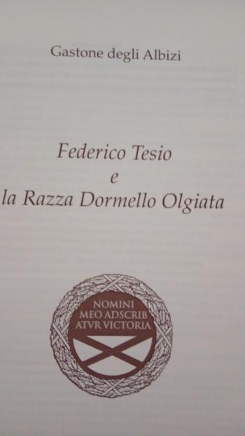 700 PAGINE : IL MITO, LA LEGGENDA , LA STORIA .