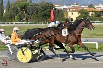 I record mondiali del trotto: un aggiornamento I record mondiali del trotto: un aggiornamento