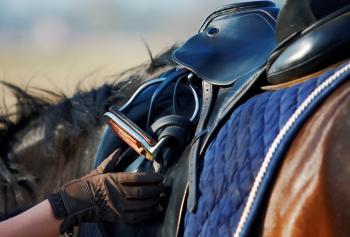 Turismo rurale con il cavallo: Turismo rurale con il cavallo: