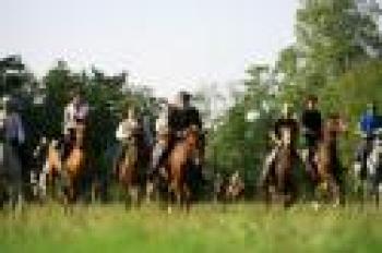 Due giorni a cavallo nel Parco di Monza Due giorni a cavallo nel Parco di Monza