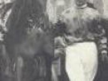 Trotto amarcord: 1958 anno magico di Tornese Trotto amarcord: 1958 anno magico di Tornese