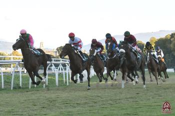 Galoppo al Visarno, un bel giovedì con Corsa del Chianti e la TQQ Galoppo al Visarno, un bel giovedì con Corsa del Chianti e la TQQ