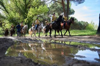 Equiraduno Anno Santo si conclude con incontro dei cavalieri col Papa a San Pietro Equiraduno Anno Santo si conclude con incontro dei cavalieri col Papa a San Pietro