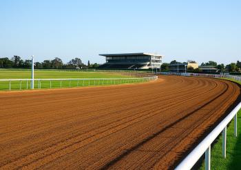 Sottosegretario La Pietra pubblicazione della classificazione degli ippodromi Sottosegretario La Pietra pubblicazione della classificazione degli ippodromi