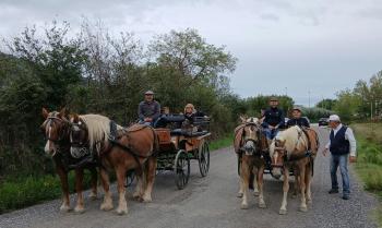 FESTA DEI CAMMINI TURISMO VERDE IN CARROZZA