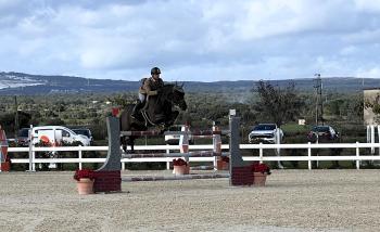 Salto, fine settimana a Tanca Regia con il Campionato del Cavallo Sardo, 230 binomi in gara Salto, fine settimana a Tanca Regia con il Campionato del Cavallo Sardo, 230 binomi in gara