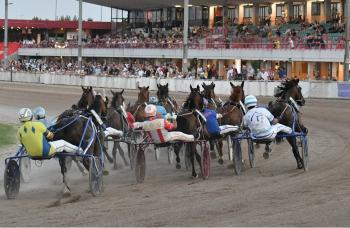 Lunedì l'ippodromo  Sesana chiude la stagione con ingresso gratuito