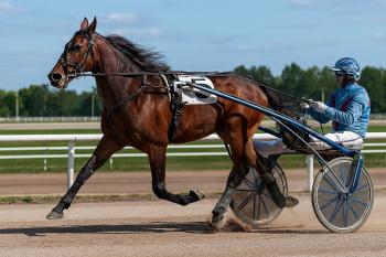 Al via il Campionato Mondiale Guidatori Trotto
