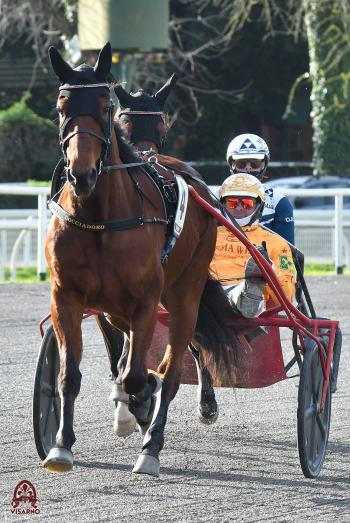 Venerdì al Visarno l'ouverture della stagione del trotto fiorentino