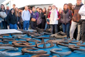 FIERACAVALLI: Dove il cavallo insegna un mestiere: Debutta l'Horse Future Hub