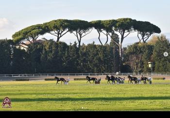 I tre anni in lizza nel Premio Ubaldo Baldi nel venerdì di Firenze