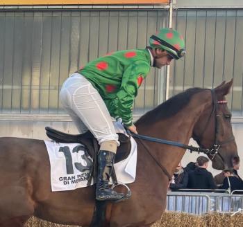 L'emozione di diventare un purosangue L'emozione di diventare un purosangue