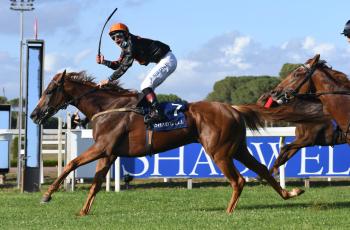 Domani, ultima domenica di corse dell'anno  a Capannelle