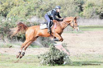Tanca Regia: Luigi Iriu vince il titolo regionale di Completo Tanca Regia: Luigi Iriu vince il titolo regionale di Completo