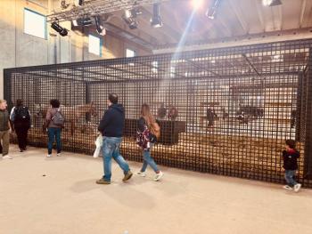 Fieracavalli 2025, tra luci e ombre della passione equestre