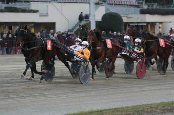 La Bologna del trotto, un bel giovedì  con la TQQ