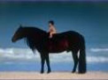 Emozione Cavallo, mostra fotografica al Niguarda Emozione Cavallo, mostra fotografica al Niguarda