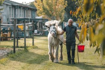 Giovanni Adami, quando i cavalli ti indicano la via