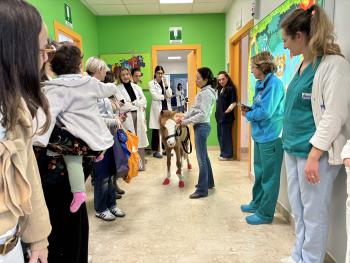 Natale con la FISE: Osp. Cervello di Palermo un pony per regalare sorrisi ai bambini ricoverati Natale con la FISE: Osp. Cervello di Palermo un pony per regalare sorrisi ai bambini ricoverati