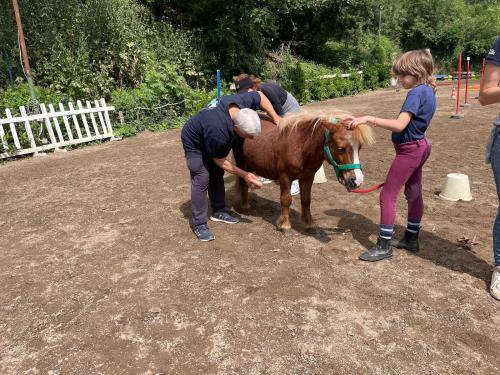 <strong>Overponymotricit&agrave;:</strong>  progetto intergenerazionale conclude percorso al Centro Equestre Federale