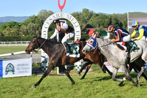 Domenica al Visarno il Premio Enzo E Tullio Mei