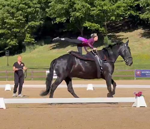 Nasce “Horse for Inclusion”: ai Pratoni del Vivaro lo sport equestre abbatte ogni barriera Nasce “Horse for Inclusion”: ai Pratoni del Vivaro lo sport equestre abbatte ogni barriera