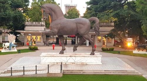 Una notturna speciale di trotto a San Siro, con il Gran Premio Nazionale