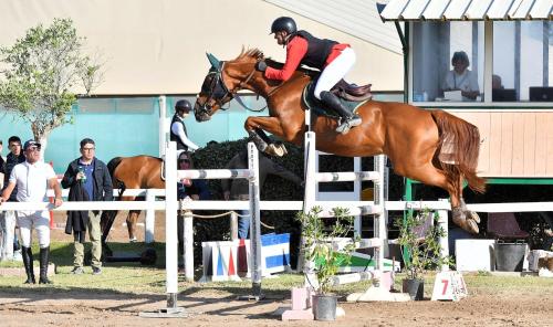 Salto ostacoli: Marco Pau su Burdellosu è il nuovo campione regionale sardo Salto ostacoli: Marco Pau su Burdellosu è il nuovo campione regionale sardo