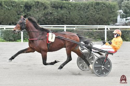 Always Ek domina il Gran Premio del Gargano, 1.10.6 Always Ek domina il Gran Premio del Gargano, 1.10.6