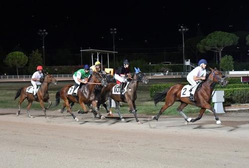 Serata con il trotto montato allo Snai Sesana di Montecatini