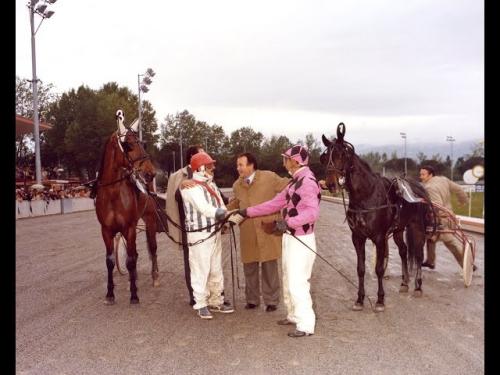 L’ippodromo Sesana è pronto per una domenica di sport. L’ippodromo Sesana è pronto per una domenica di sport.